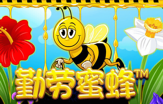 58娱乐官方正版下载